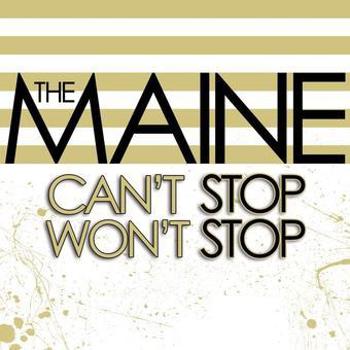 Vinyl Can't Stop Won't Stop  (15 Th Anniversary Edition) Book
