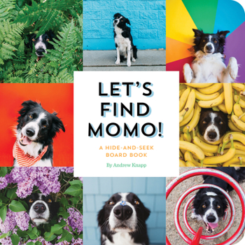 Board book Let's Find Momo!: A Hide-And-Seek Board Book