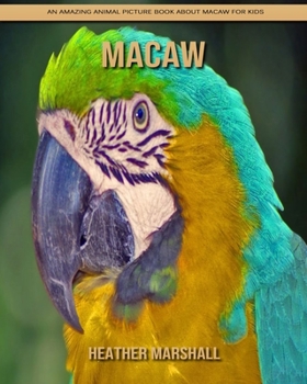 Paperback Macaw: An Amazing Animal Picture Book about Macaw for Kids Book