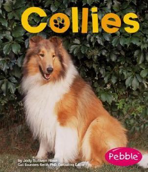 Hardcover Collies Book