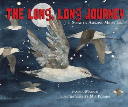 Library Binding The Long, Long Journey: The Godwit's Amazing Migration Book