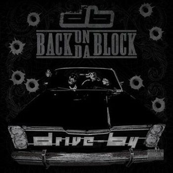 Vinyl Back on Da Block (LP) Book