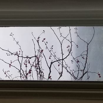 Paperback How to Make a Memoir Read Like a Novel: A Workbook Pamphlet Book