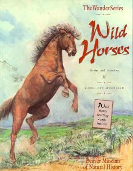 Paperback Wild Horses Book