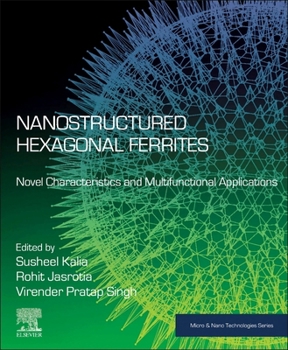 Paperback Nanostructured Hexagonal Ferrites: Novel Characteristics and Multifunctional Applications Book