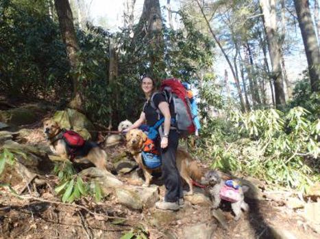 Paperback Girl (Hiking) with 4 Dogs Book