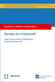 Paperback Europe at a Crossroad: From Currency Union to Political and Economic Governance? Book