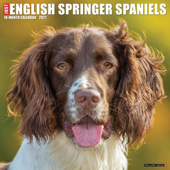 English Springer Spaniels 2027 12 X 12 Wall Calendar