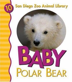 Board book Baby Polar Bear Book