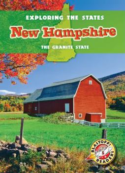 Library Binding New Hampshire: The Granite State Book
