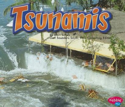 Library Binding Tsunamis Book