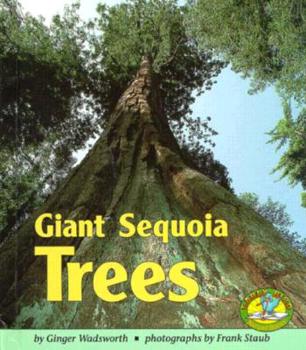 Hardcover Giant Sequoia Trees Book