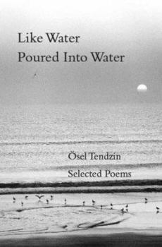 Paperback Like Water Poured Into Water Book