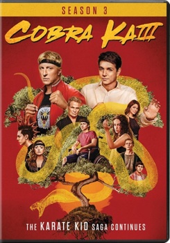 DVD Cobra Kai: Season 3 Book