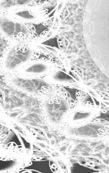 Hardcover LETTERS To MYSELF JOURNAL - Black and White Wedding Lace: a 42-page journal with exquisite artwork on every page. Book