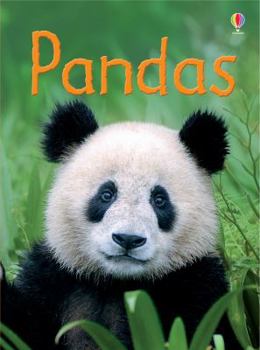 Pandas IR - Book  of the Usborne Beginners
