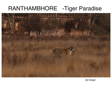 Paperback Ranthambhore: Tiger Paradise Book
