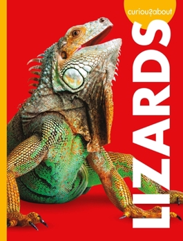 Library Binding Curious about Lizards Book