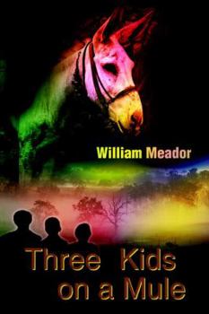 Three Kids on a Mule