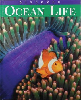 Hardcover Discover Ocean Life Book