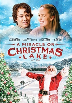 DVD A Miracle on Christmas Lake Book