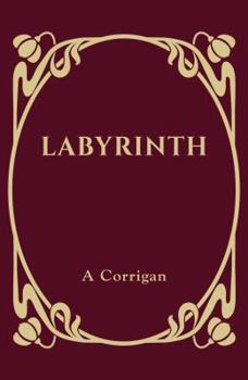 Hardcover Labyrinth Book