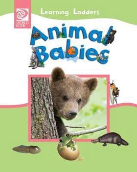 Paperback Animal Babies Book