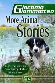 Paperback More Animal Stories: Sanctuary Tales, Volume III Book