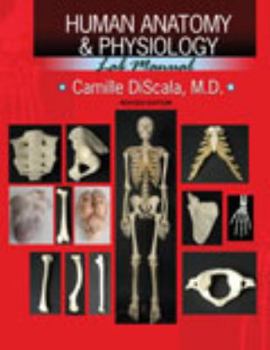 Spiral-bound Human Anatomy and Physiology Lab Manual Book