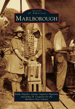 Paperback Marlborough Book