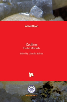 Hardcover Zeolites: Useful Minerals Book