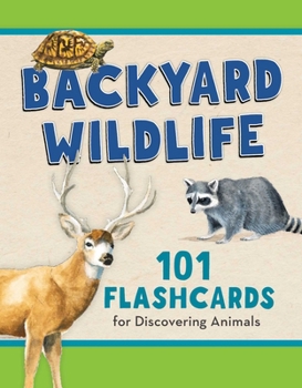 Hardcover Backyard Wildlife: 101 Flashcards for Discovering Animals Book