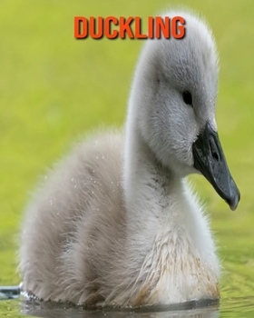 Duckling: Beautiful Pictures & Interesting Facts Children Book About Duckling
