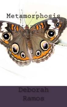 Paperback Metamorphosis - A Story Of A Caterpillar Book