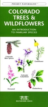 Paperback Eastern Coastal Birds: An Introduction to Familiar Species Book