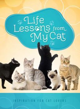 Paperback Life Lessons from My Cat: Inspiration for Cat Lovers Book
