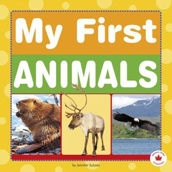 Board book My First Animals Book