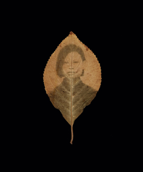 Hardcover Binh Danh: The Enigma of Belonging Book
