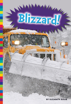 Paperback Blizzard! Book