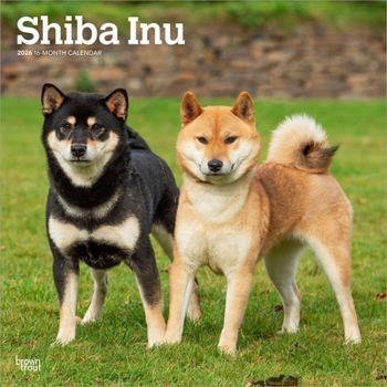 Shiba Inu 2026 12 X 24 Inch (Hanging) Monthly Square Wall Calendar Plastic-Free