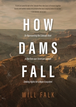 Paperback How Dams Fall Book