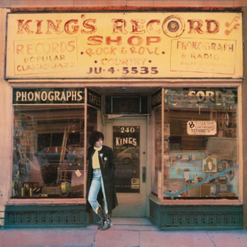 Vinyl Kings Record Shop Book
