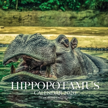 Paperback Hippopotamus Calendar 2020: 16 Month Calendar Book