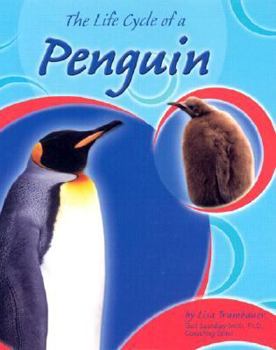 Hardcover The Life Cycle of a Penguin Book