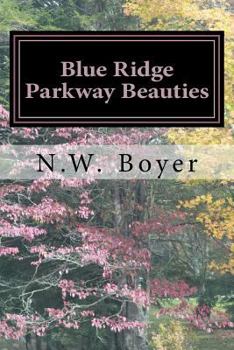 Paperback Blue Ridge Parkway Beauties: 2nd Edition Book