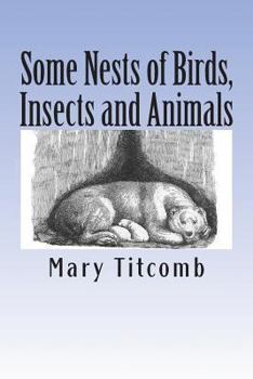 Paperback Some Nests of Birds, Insects and Animals Book