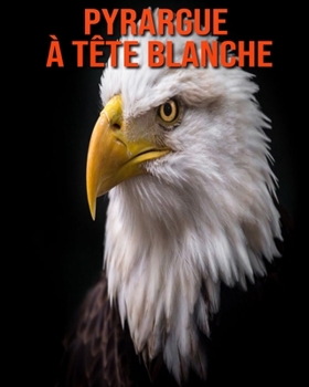 Pyrargue à Tête Blanche: Informations Etonnantes & Images