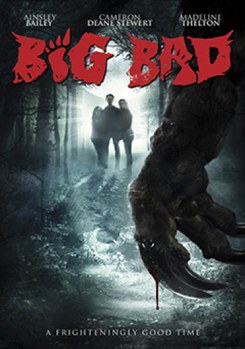 DVD Big Bad Book