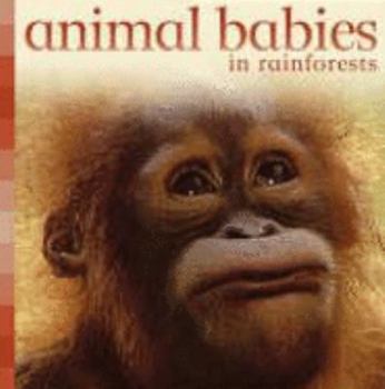 Board book Animal Babies in Rainforests (Animal Babies) (Animal Babies) Book