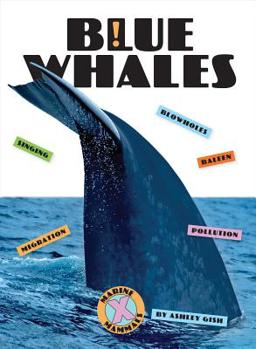 Blue Whales - Book  of the X-Books: Marine Mammals